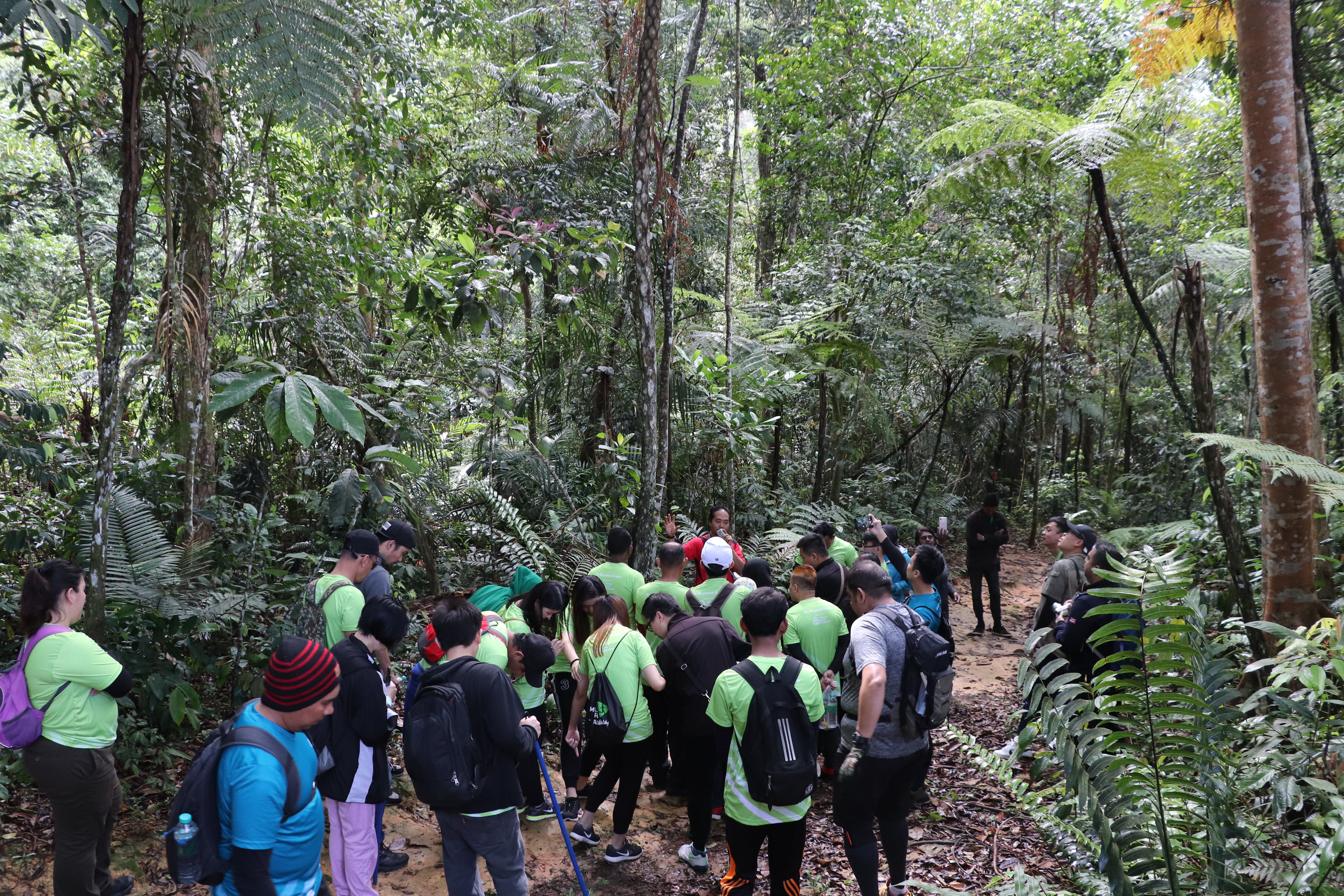 G3 Awana Trail Walk image 3