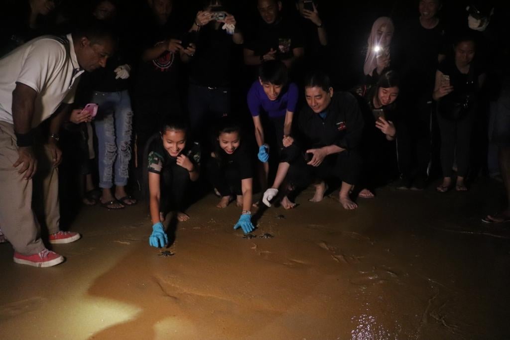 G3 Turtle Conservation Programme 2019 image 5