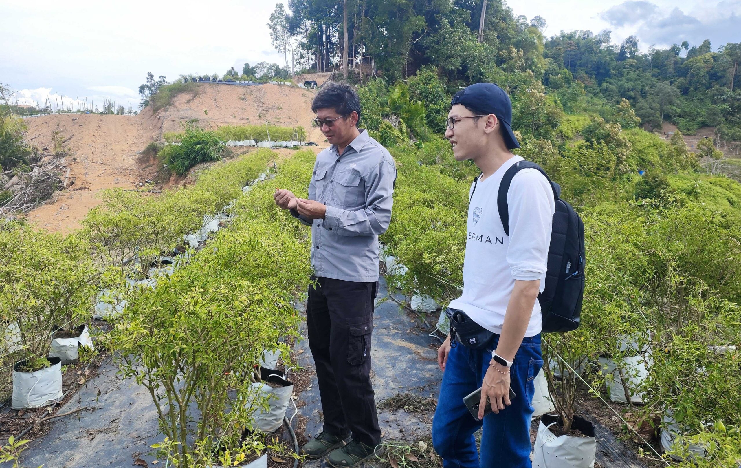 GENM’s Support for Local Farmers in Pahang image 4