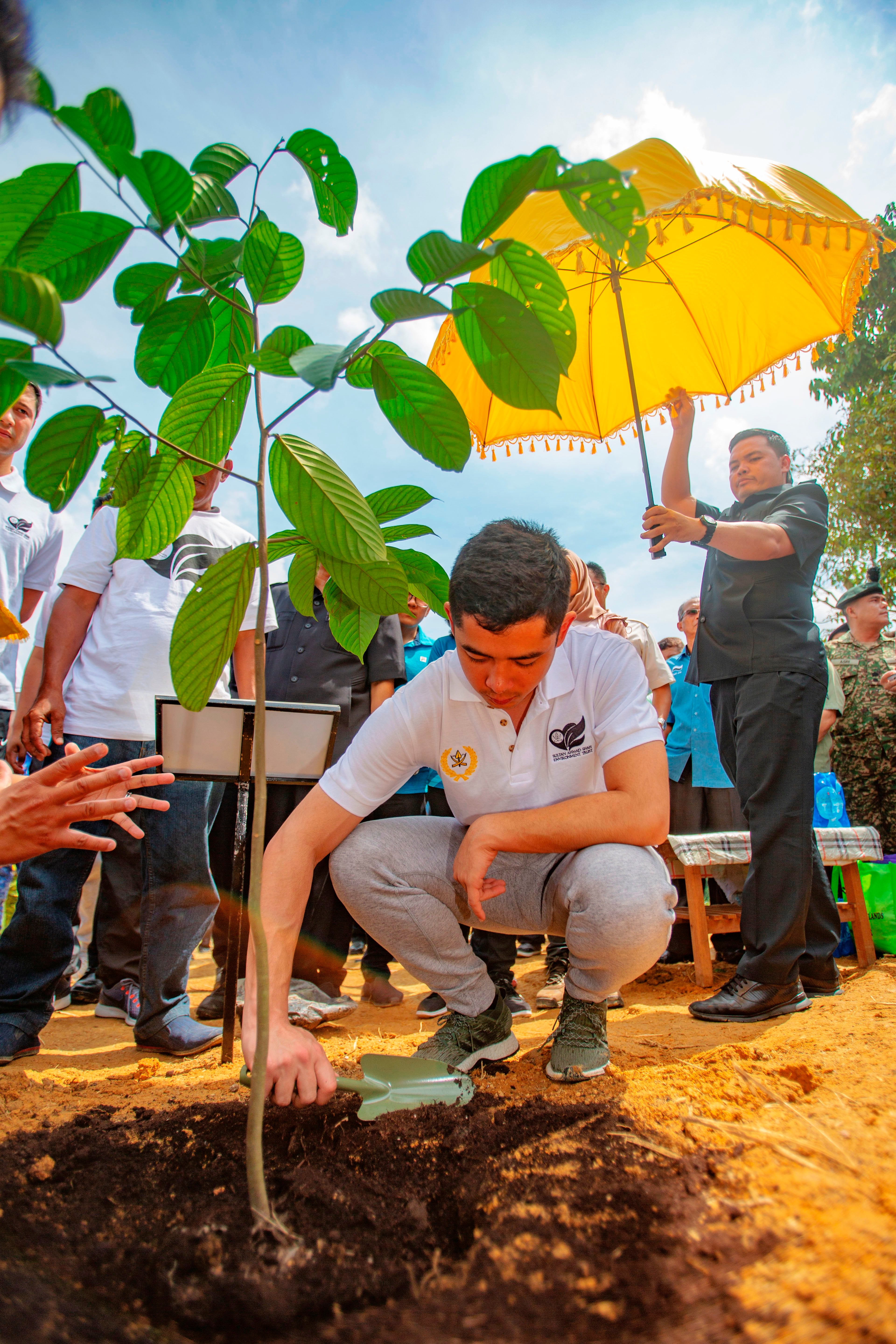 Go Green with SASET – G3 image 3