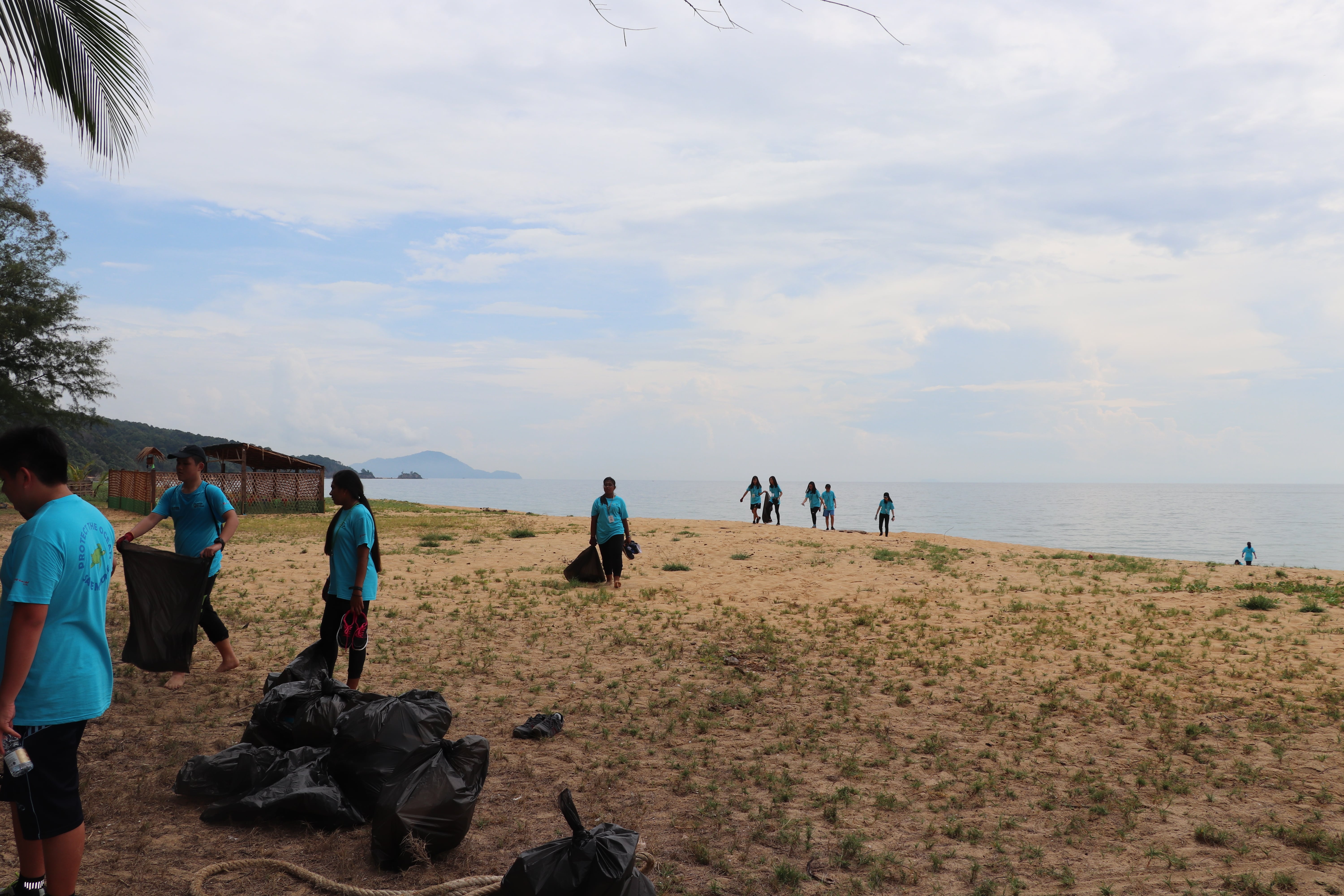 World Turtle Day at RWK image 3