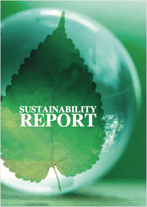 Sustainability Report 2010